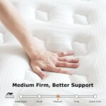 Sezmoonsi Mattress cover