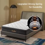 Soulfea Mattress v1