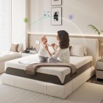 Doubleslee Mattress v3