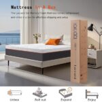 Laccard Mattress set up