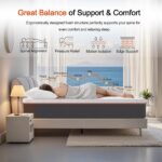 Laccard Mattress with memory foam